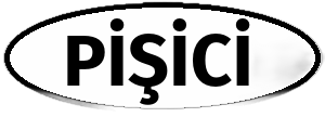 Pişici